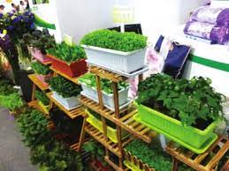 现代测土配方施肥技术如何优化大豆养分供给